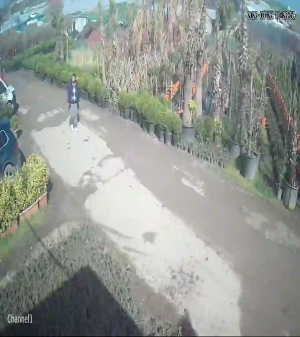 Caméra IP - Türkiye