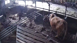 Caméra IP - Espagne