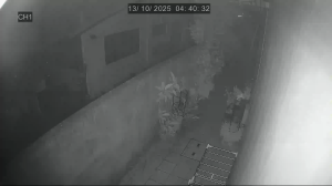 Caméra IP - Singapore