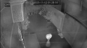 Caméra IP - South Korea