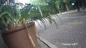 Caméra IP - South Africa