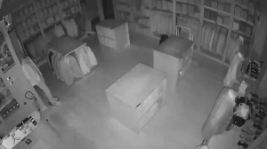 Caméra IP - Frankreich