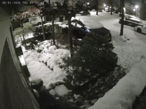 Caméra IP - Paesi Bassi