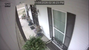 Caméra IP - United States of America