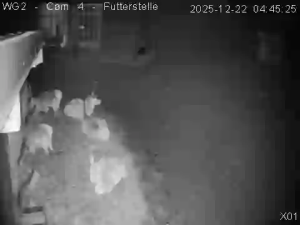 Caméra IP - Österreich