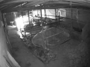 Caméra IP - South Korea