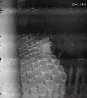 Caméra IP - Vietnam