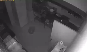 Caméra IP - Moldova, Republic of