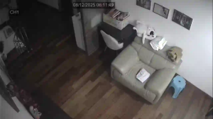 Caméra IP - Malaisie