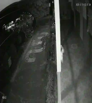 Caméra IP - Thailand