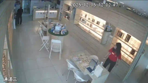 Caméra IP - Malaisie