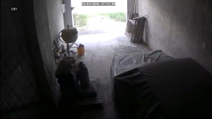 Caméra IP - Brésil