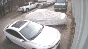 Caméra IP - Vereinigte Staaten von Amerika