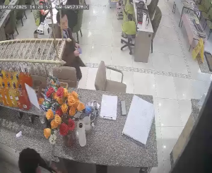 Caméra IP - Estados Unidos