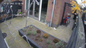 Caméra IP - Niederlande