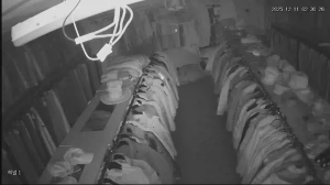 Caméra IP - South Korea