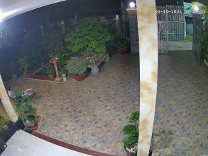 Caméra IP - Vietnam