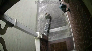 Caméra IP - Australia