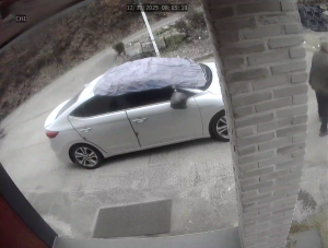 Caméra IP - República de Corea