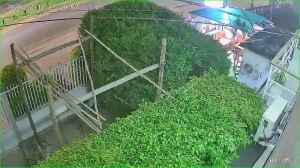 Caméra IP - Mozambique