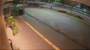 Caméra IP - Brésil