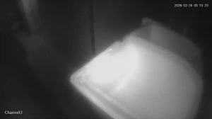 Caméra IP - Australia