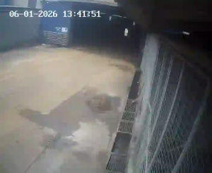 Caméra IP - Malaisie