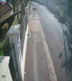 Caméra IP - South Africa