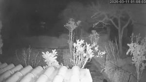 Caméra IP - Portugal