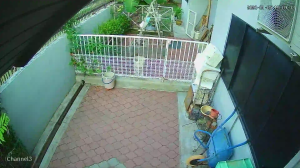 Caméra IP - Malaysia