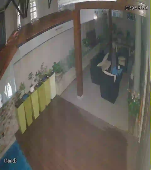 Caméra IP - Sudáfrica