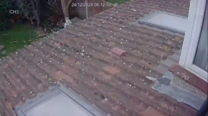 Caméra IP - United Kingdom