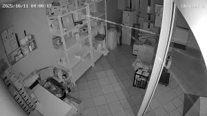 Caméra IP - Russische Föderation