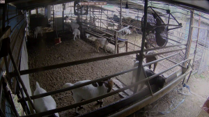 Caméra IP - Corée du Sud