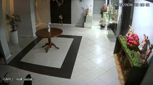 Caméra IP - Brésil