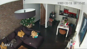 Caméra IP - Francia