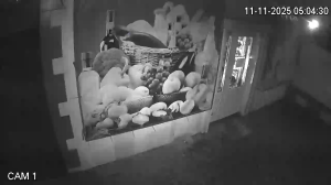 Caméra IP - Moldova, Republic of