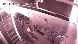 Caméra IP - Singapore