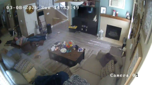 Caméra IP - États-Unis d'Amérique