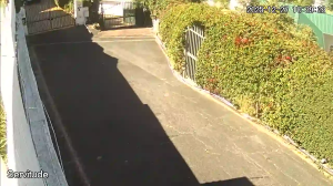 Caméra IP - South Africa