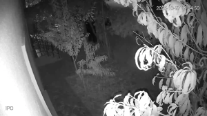 Caméra IP - Turquía