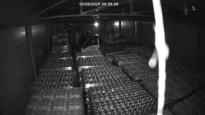 Caméra IP - Corée du Sud