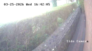 Caméra IP - Irlande