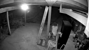 Caméra IP - United States of America