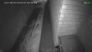 Caméra IP - United States of America