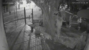 Caméra IP - Brésil