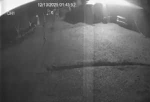 Caméra IP - États-Unis d'Amérique