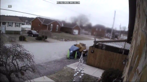 Caméra IP - United States of America