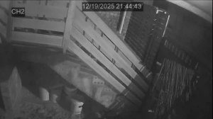 Caméra IP - Südafrika