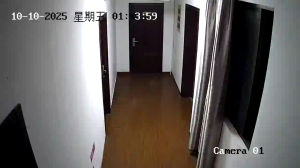 Caméra IP - China